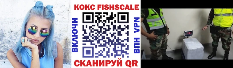 Кокаин FishScale  сколько стоит  Чита 