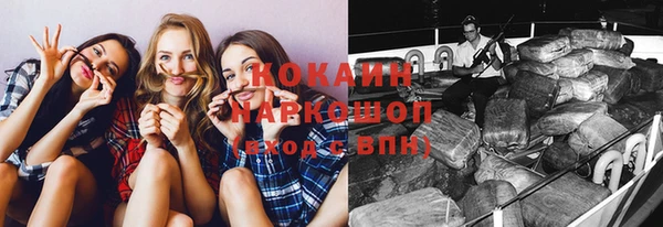 хмурый Алзамай