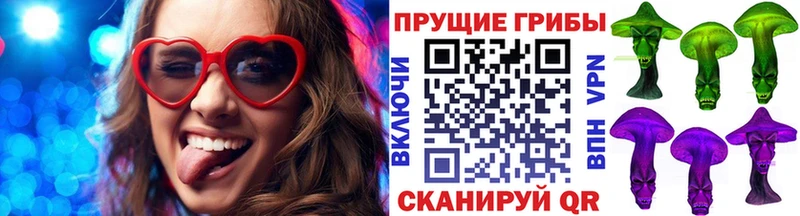 где можно купить   Чита  Галлюциногенные грибы Cubensis 