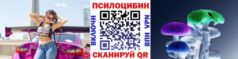 Псилоцибиновые грибы Psilocybine cubensis Чита